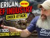 New-Tick-Aborts-Beef-Calves-Up-To-50-Mortality