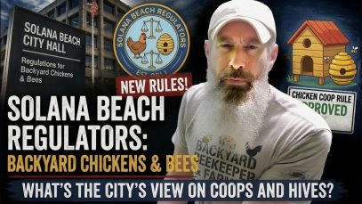 Crazy-Ridiculous-Chicken-Regulations-in-America-Heres-Why