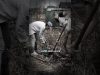 Gardening-Is-a-Battlefield-Nobody-Tells-You-This