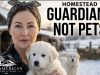 Preparing-For-Winter-Episode-1-Puppies.-Raising-Guardians-Not-Pets