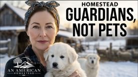 Preparing For Winter – Episode 1 – Puppies. Raising Guardians, Not Pets