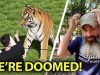 3-Proofs-That-Common-Sense-Is-Dead-Today